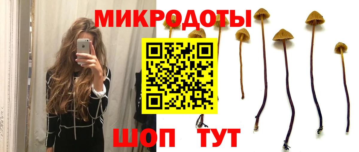 Галлюциногенные грибы MAGIC MUSHROOMS Алейск